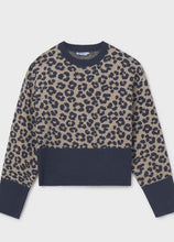 Load image into Gallery viewer, Wide Band Print Sweater
