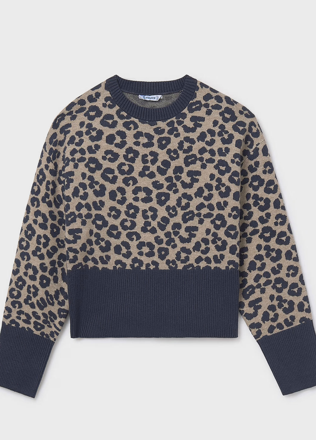 Wide Band Print Sweater