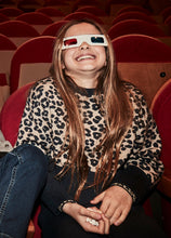 Load image into Gallery viewer, Wide Band Print Sweater
