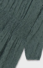 Load image into Gallery viewer, Eucalyptus Chiffon Dress
