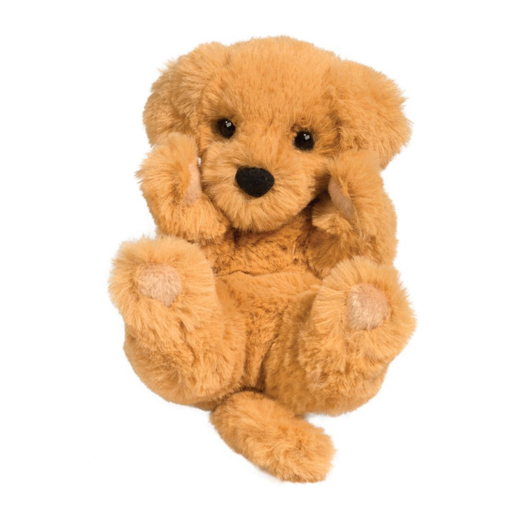 Lil Baby Golden Retriever