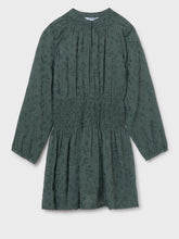 Load image into Gallery viewer, Eucalyptus Chiffon Dress
