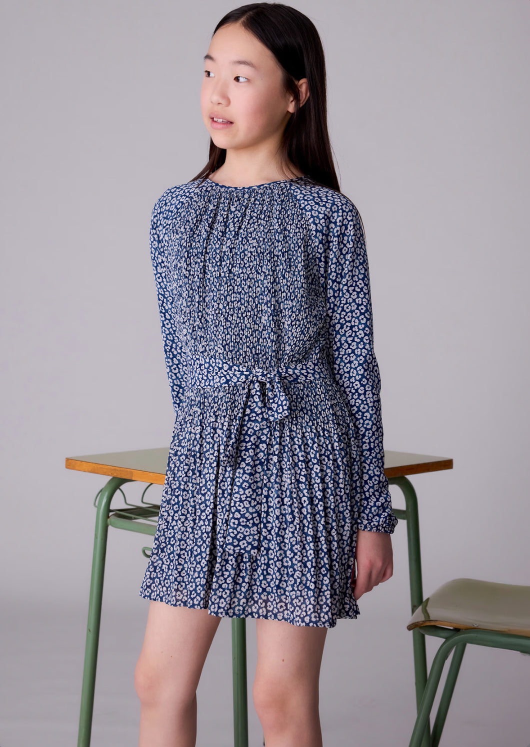 Belted Print Dress