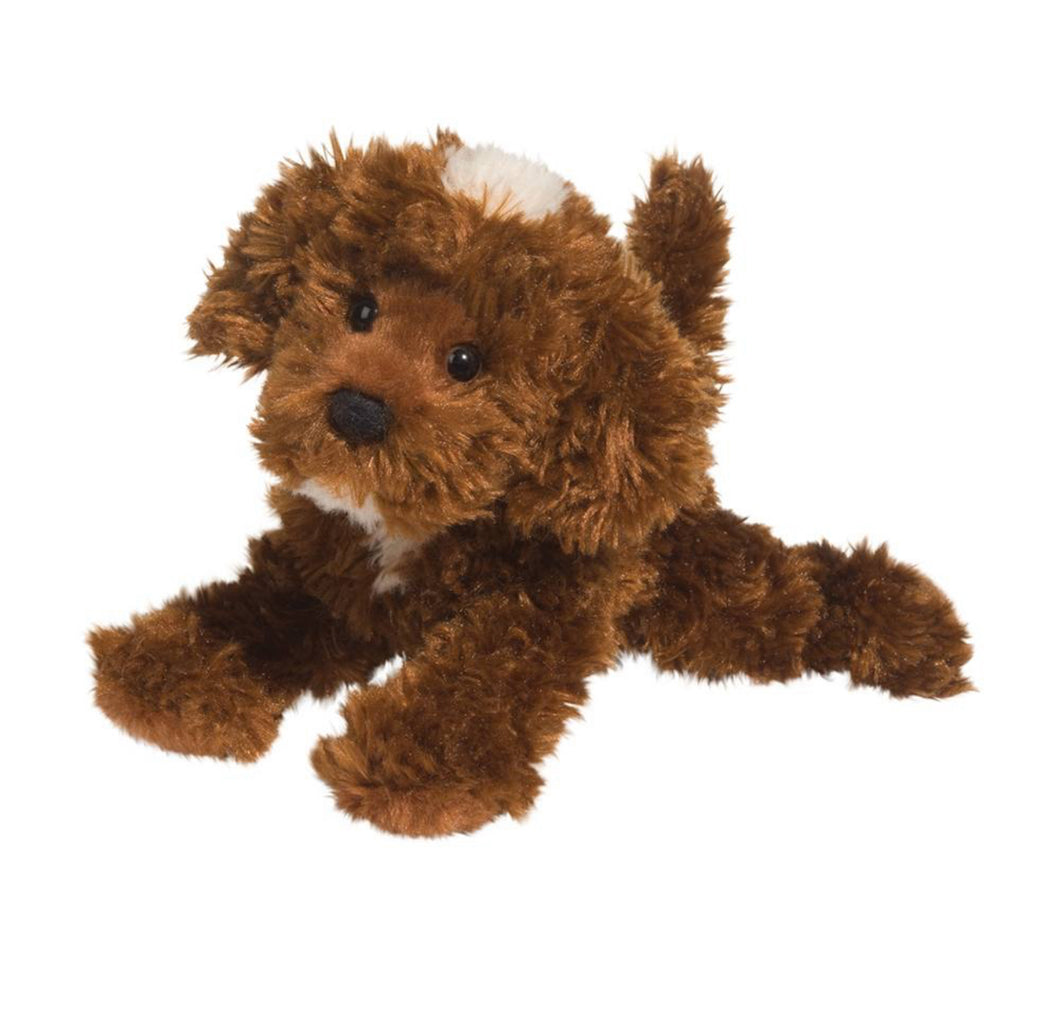 Bosco Chocolate Labradoodle