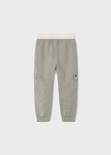 Load image into Gallery viewer, Fossil Cargo Pant
