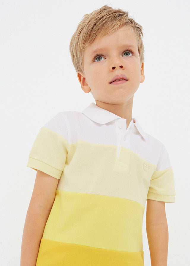 Pineapple Stripe Polo
